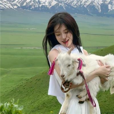 快乐的暴力团转地球